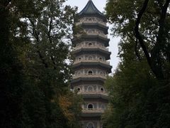 -灵谷景区
