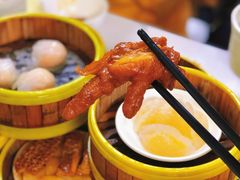 -肥佬夜茶(早茶·西乡店)