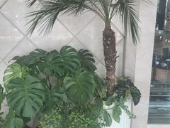 -福来齐·鲁菜海鲜·渔家菜(朝阳街分店)