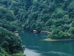 -鼎湖山风景区