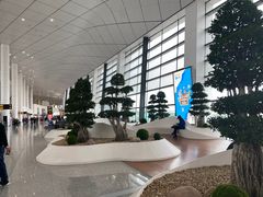 -郑州新郑国际机场