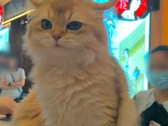 -金茂览秀城