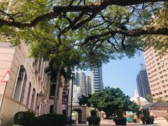 -香港大学