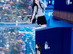 -石家庄极地海洋世界