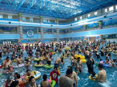 -海豚堡温泉水乐园