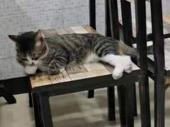 -玉椰林甜品店(创始店)