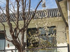 -丽泽山庄·生态怀柔菜·虹鳟鱼(红螺寺店)