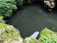 -东山雕花楼
