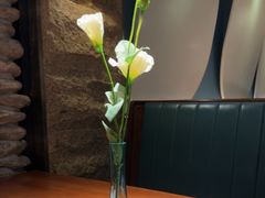 -三强鸽子(胜利路店)