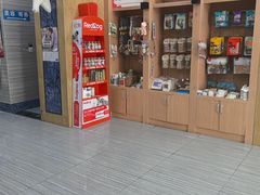 -瑞派名望志远动物医院·猫科·內科·异宠专科(直港大道店)