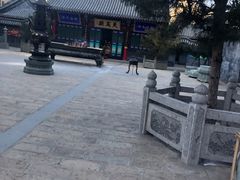 -长安寺