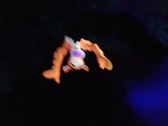 -小熊维尼历险之旅