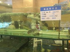 -大方圆酒楼(西门大街店)