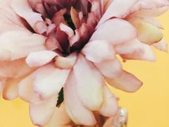 -红房子西菜馆(淮海中路店)