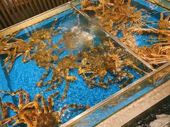 水产区-蟹将军·松叶蟹和牛日料放题自助(K11店)