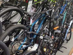 -道路口单车爱瓦士dahon大行