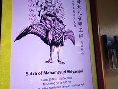 -新加坡佛牙寺龙华院