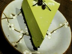 -柴务处·柴犬主题狗咖