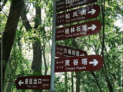 -灵谷景区