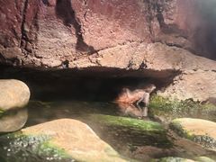 -济南野生动物世界