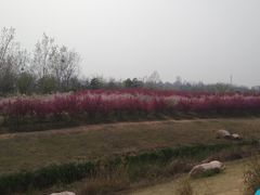 -淇河国家湿地公园