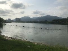 -飞来湖湿地公园