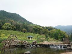 -广州市石门国家森林公园