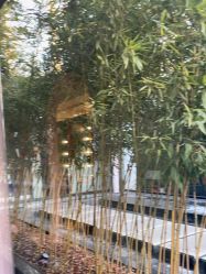 -爱儿美儿童摄影(朝阳公园店)