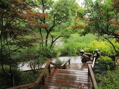 -新江湾城公园