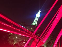 -金鸡山公园