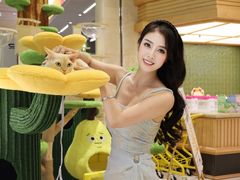 -帕帕拉兹宠物(亚洲旗舰店)