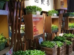 -番食园鲜食火锅(高新店)