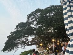 -网红落日悬崖餐厅 The Sky Gallery