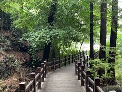 -国家植物园南园