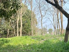 -广富林郊野公园
