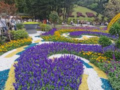 -深圳仙湖植物园