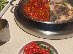 -小龙坎火锅(春熙太古里店)