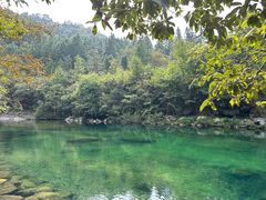 -石台牯牛降景区
