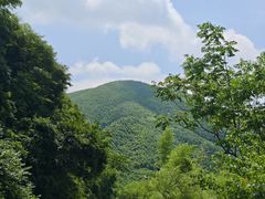 -莫干山风景区