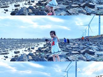 杭州0元周边游｜趁着落日去赶海，螃蟹满地️保姆级攻略️