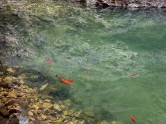 -湖洞水自然风景区