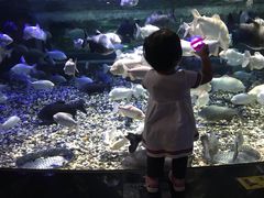 -成都浩海立方海洋公园