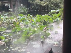-乾园.魏庐湖景餐厅(花港店)