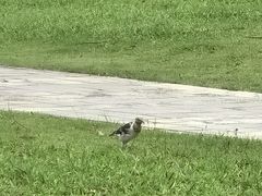 -Chanel(永利皇宫店)