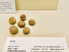 -深圳博物馆(古代艺术馆)