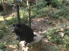 -关西瀑布