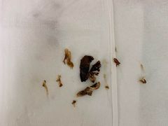 -小米熊儿童医院