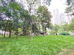 -成都市活水公园