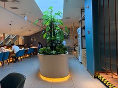 -悦海·家宴·冰花皮皮虾大锅贴(宝龙店)