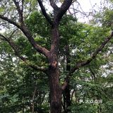 南京人很有福这个城市，有山有水